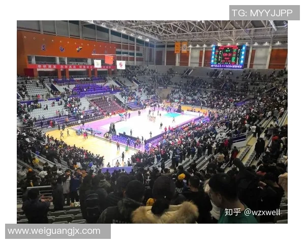 北京首钢与辽宁比赛VIP票价分析及购票指南详解